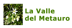 La Valle del Metauro